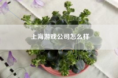 上海游戏公司怎么样