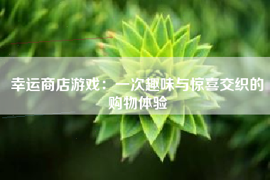 幸运商店游戏：一次趣味与惊喜交织的购物体验