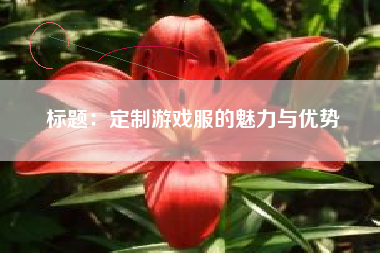 标题：定制游戏服的魅力与优势