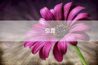 引言