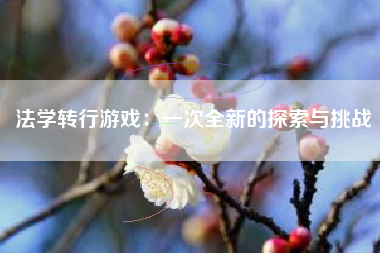 法学转行游戏：一次全新的探索与挑战