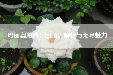 玛丽奥游戏：回顾、解析与无尽魅力