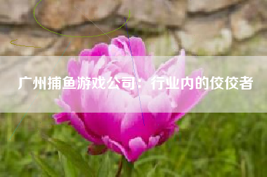 广州捕鱼游戏公司：行业内的佼佼者