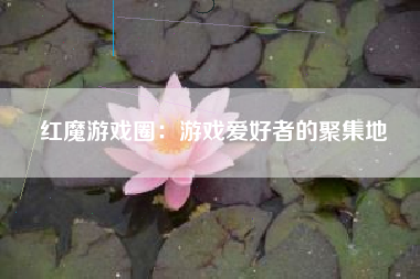 红魔游戏圈：游戏爱好者的聚集地