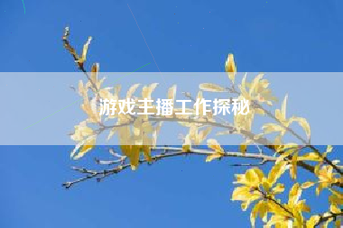 游戏主播工作探秘