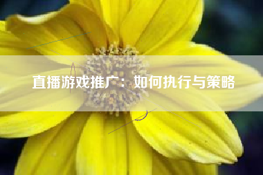 直播游戏推广：如何执行与策略