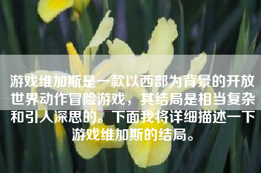 游戏维加斯是一款以西部为背景的开放世界动作冒险游戏，其结局是相当复杂和引人深思的。下面我将详细描述一下游戏维加斯的结局。