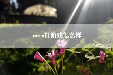 razen打游戏怎么样