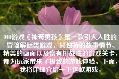 MD游戏《神奇男孩》是一款引人入胜的冒险解谜类游戏，其独特的故事情节、精美的画面以及富有挑战性的游戏关卡，都为玩家带来了极致的游戏体验。下面，我将详细介绍一下这款游戏。
