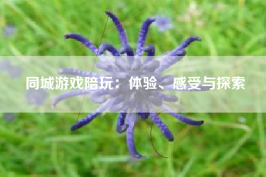 同城游戏陪玩：体验、感受与探索