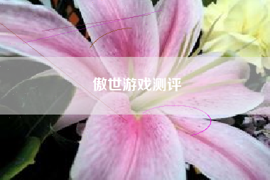 傲世游戏测评