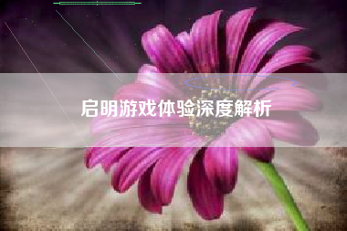 启明游戏体验深度解析