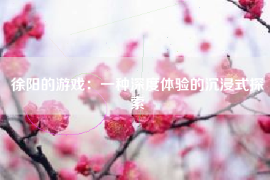 徐阳的游戏：一种深度体验的沉浸式探索