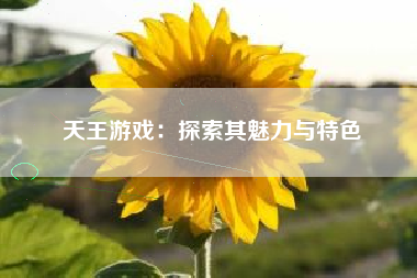 天王游戏：探索其魅力与特色