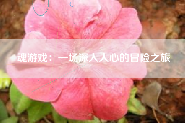 魂游戏：一场深入人心的冒险之旅