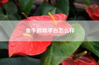金牛游戏平台怎么样