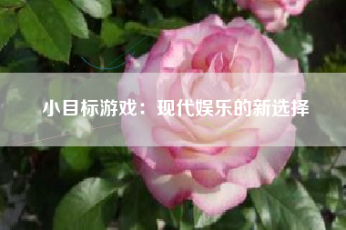 小目标游戏：现代娱乐的新选择