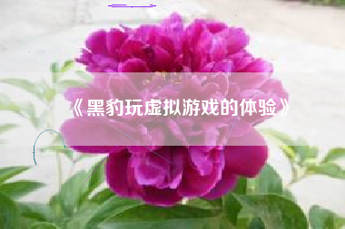 《黑豹玩虚拟游戏的体验》