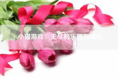 小猫游戏：无尽的乐趣与成长