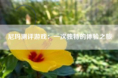 尼玛测评游戏：一次独特的体验之旅
