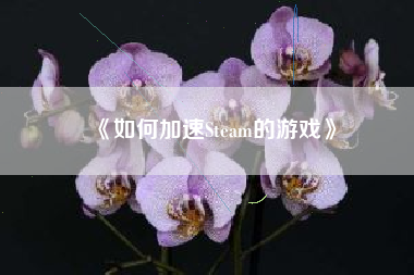 《如何加速Steam的游戏》
