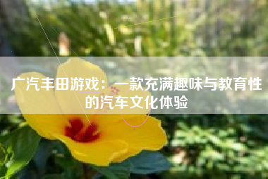 广汽丰田游戏：一款充满趣味与教育性的汽车文化体验