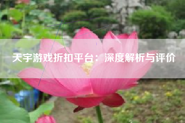 天宇游戏折扣平台：深度解析与评价