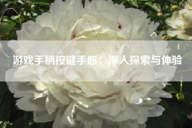 游戏手柄按键手感：深入探索与体验