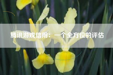 腾讯游戏信用：一个全方位的评估