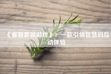 《睿智套装游戏》：一款引领智慧的互动体验