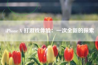 iPhone X 打游戏体验：一次全新的探索