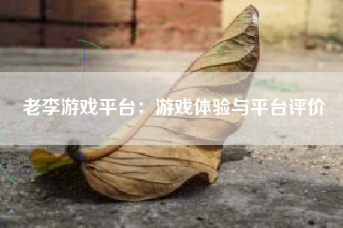 老李游戏平台：游戏体验与平台评价