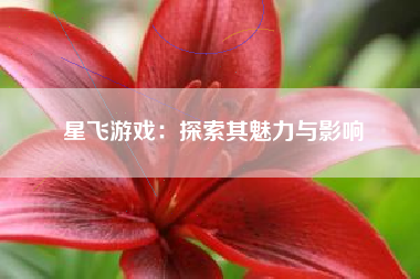 星飞游戏：探索其魅力与影响