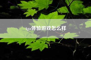 tga体验游戏怎么样