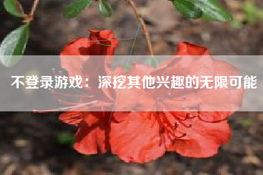不登录游戏：深挖其他兴趣的无限可能