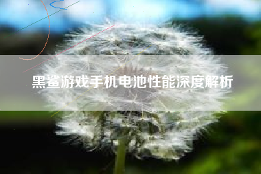 黑鲨游戏手机电池性能深度解析