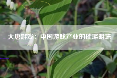 大唐游戏：中国游戏产业的璀璨明珠