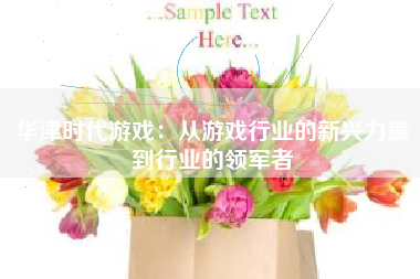 华津时代游戏：从游戏行业的新兴力量到行业的领军者