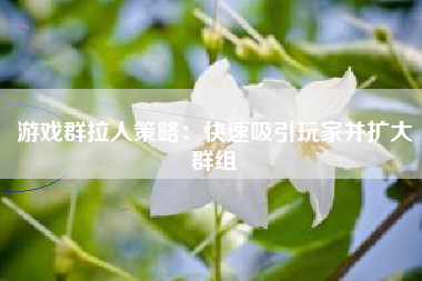 游戏群拉人策略：快速吸引玩家并扩大群组
