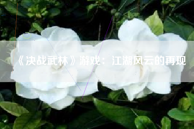 《决战武林》游戏：江湖风云的再现