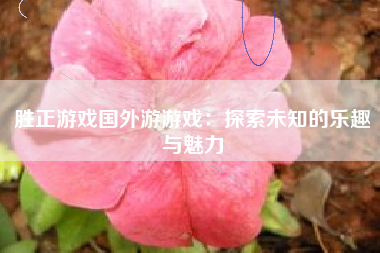 胜正游戏国外游游戏：探索未知的乐趣与魅力