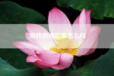 游戏倒闭后果怎么样