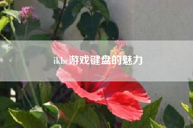 ikbc游戏键盘的魅力
