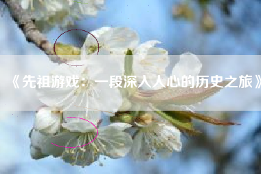 《先祖游戏：一段深入人心的历史之旅》