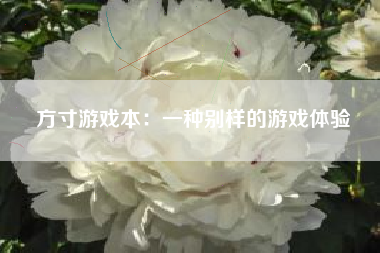 方寸游戏本：一种别样的游戏体验