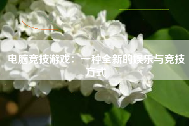 电脑竞技游戏：一种全新的娱乐与竞技方式