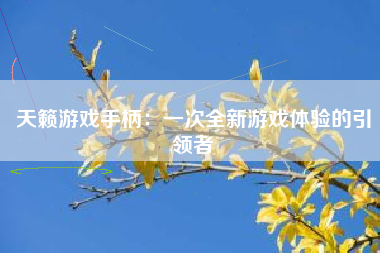 天籁游戏手柄：一次全新游戏体验的引领者
