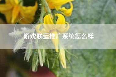 游戏联运推广系统怎么样