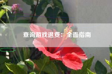 查询游戏退费：全面指南