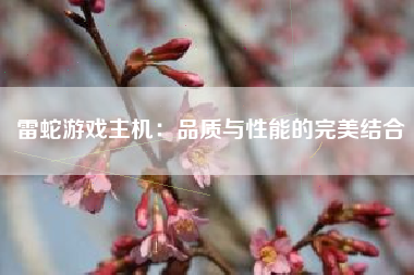 雷蛇游戏主机：品质与性能的完美结合